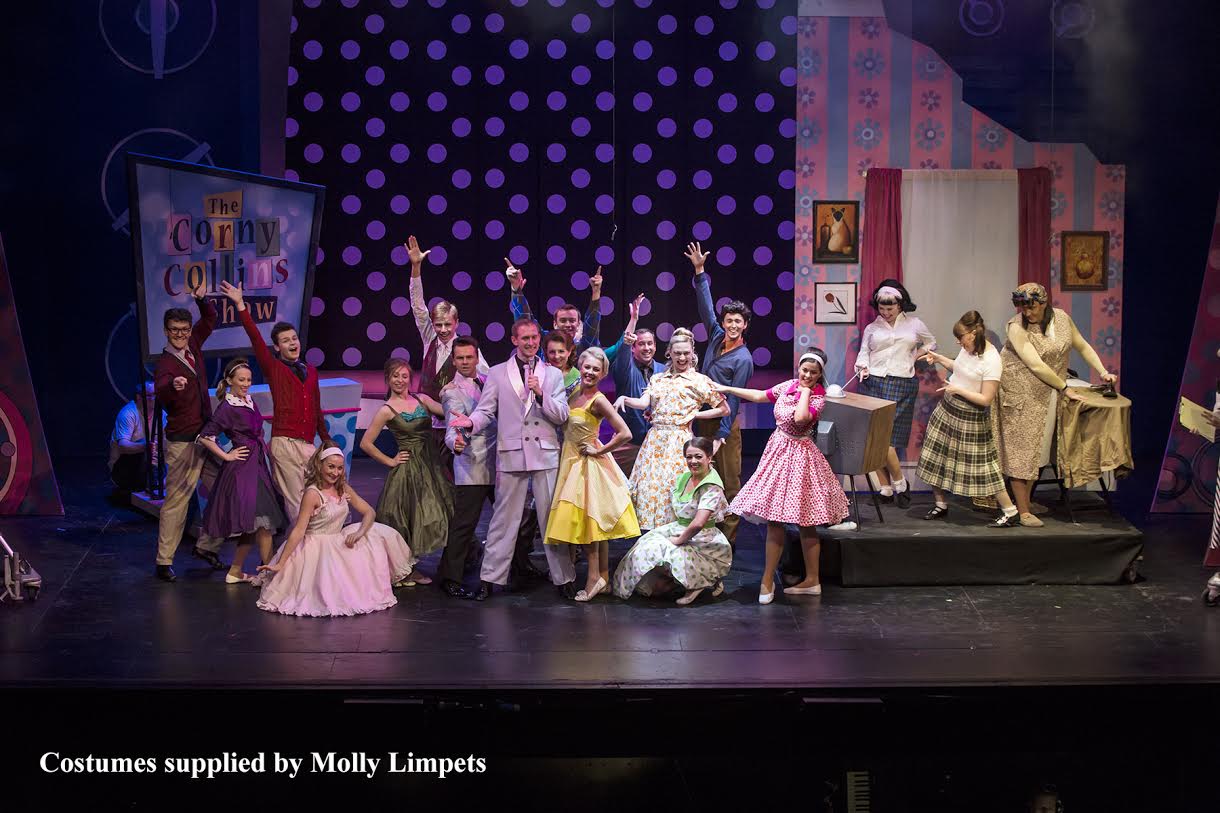 Hairspray fancy dress costumes hotsell